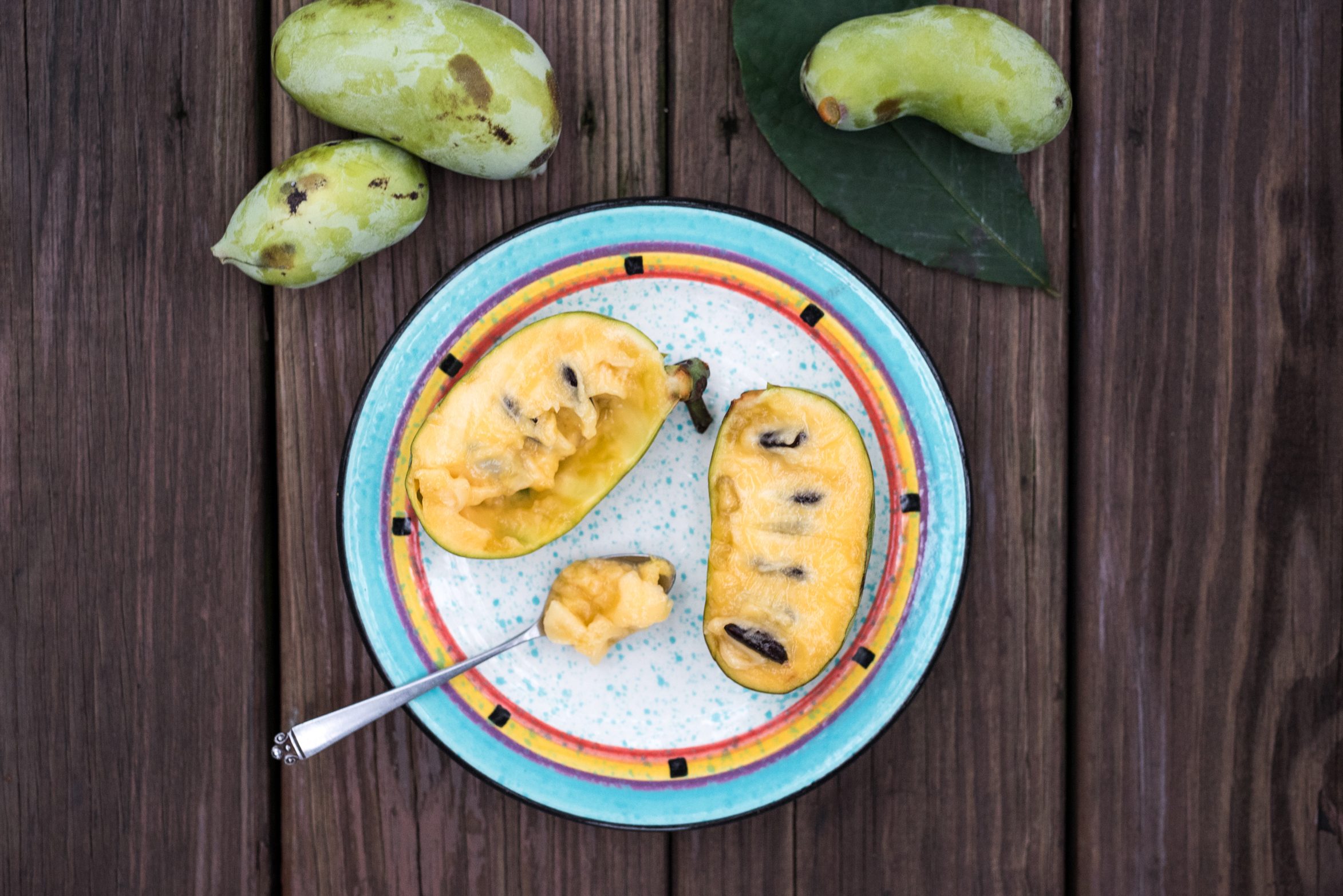 Where buy pawpaws in Philly the season ends