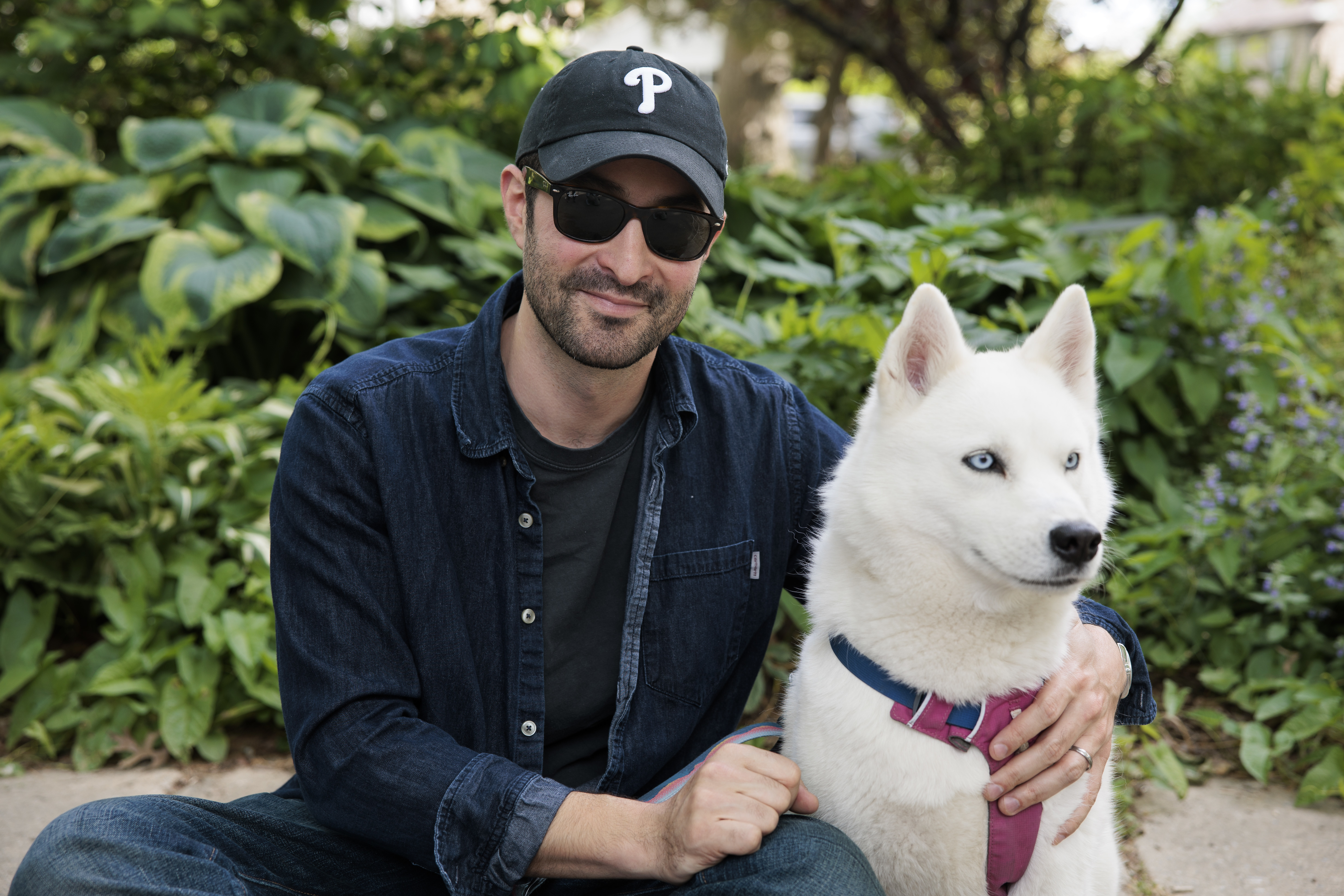 The Dogist