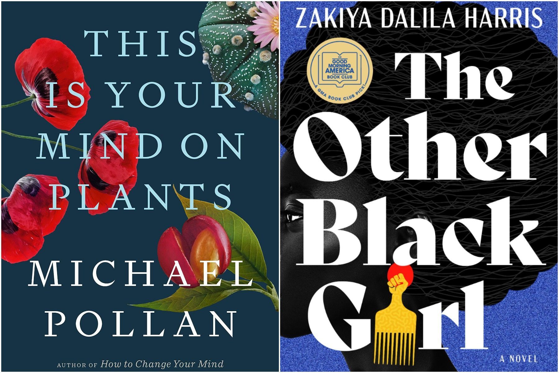 These are the hot books of summer 2021 pic