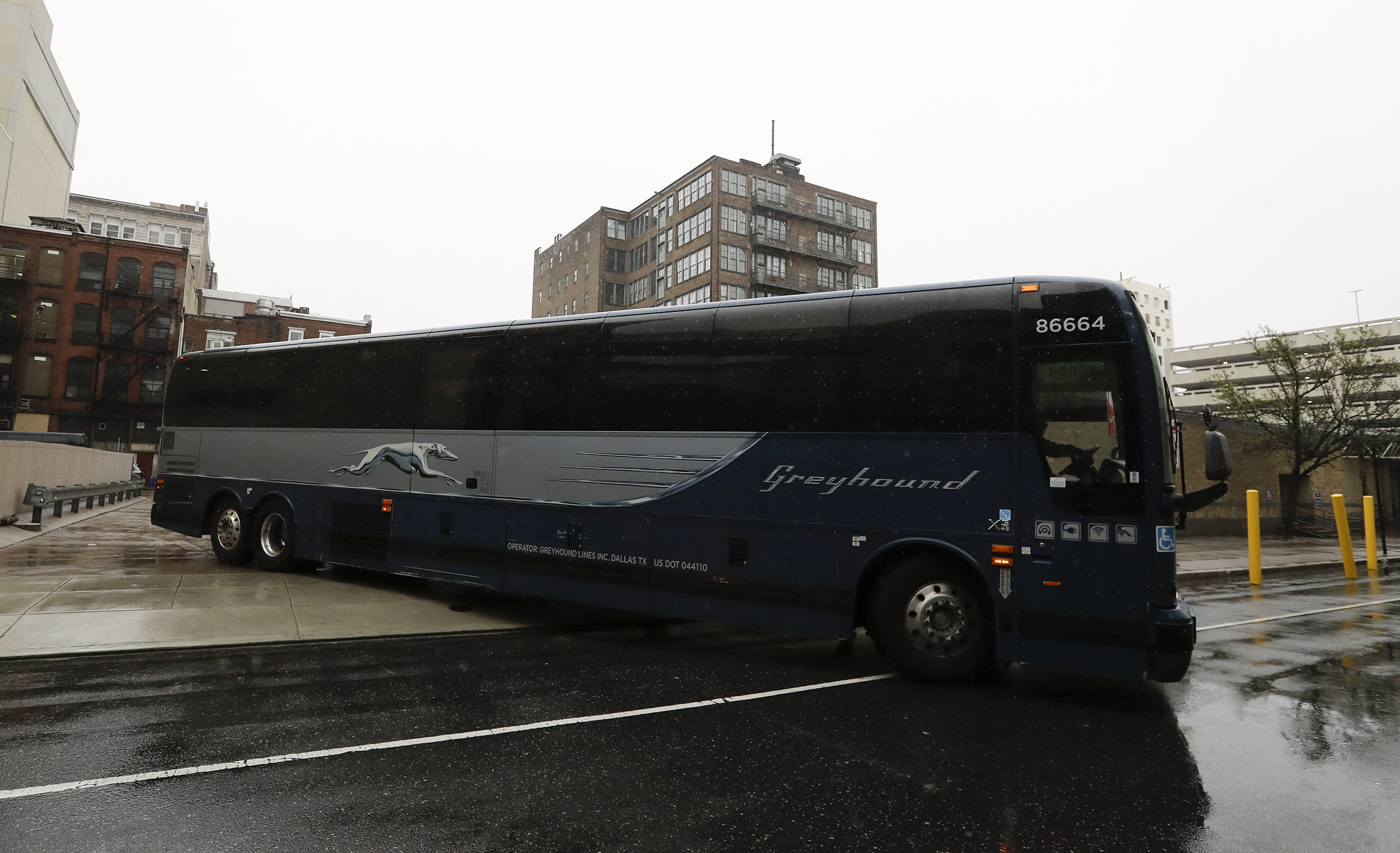 bus services in usa greyhound betting