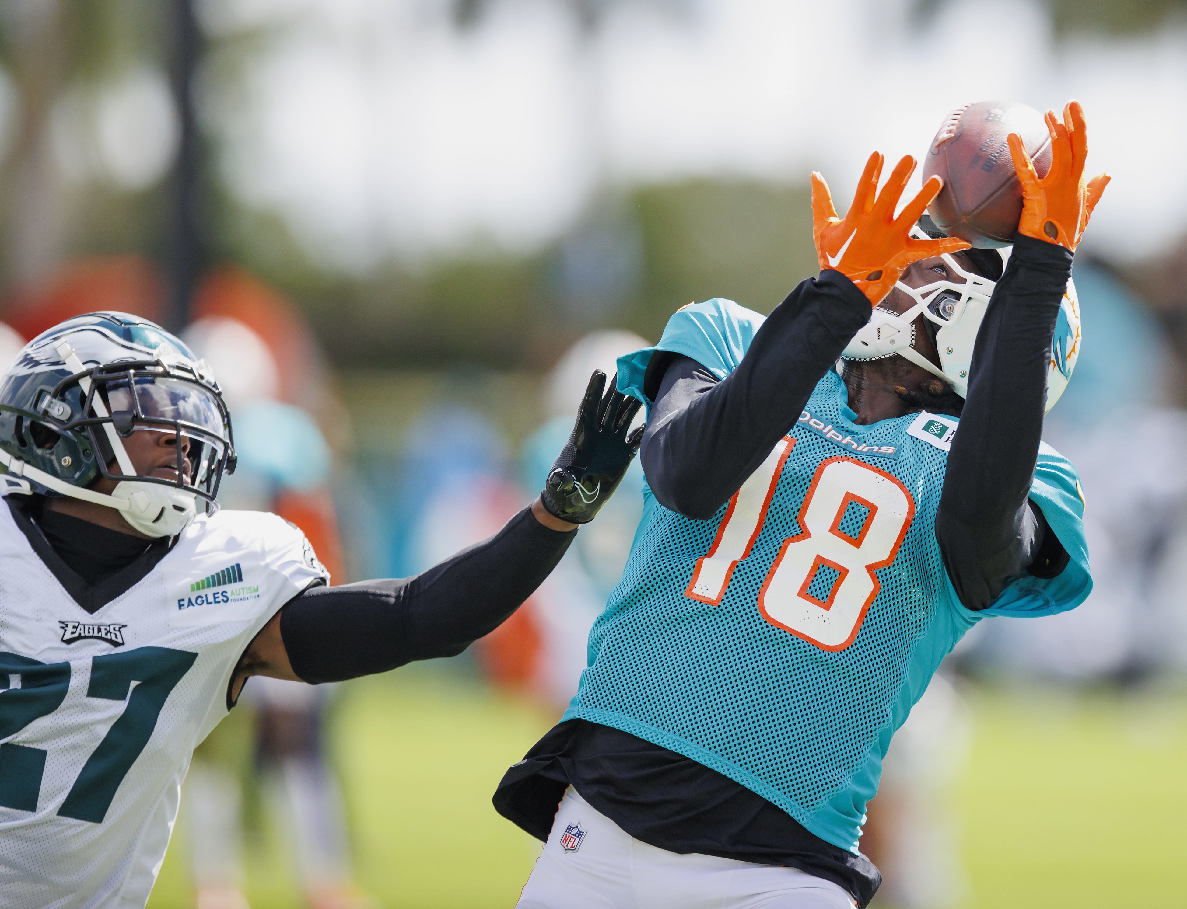 Miami Dolphins' quarterback Reid Sinnett (4) drops back against