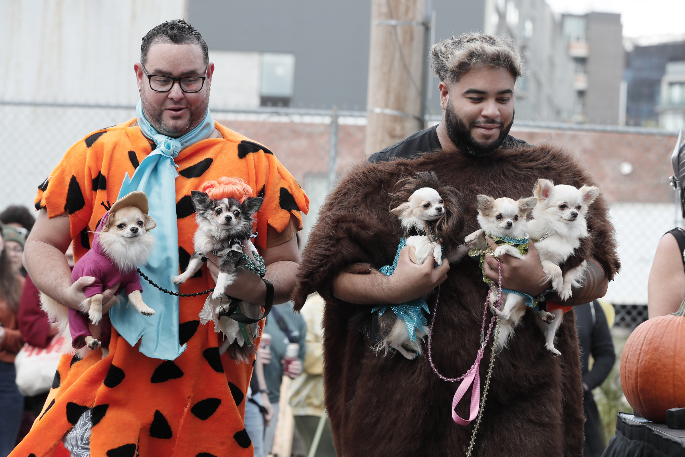 In Philly's Hound-O-Ween contest, dogs wore the costumes — from Cinderella  to Workout Barbie