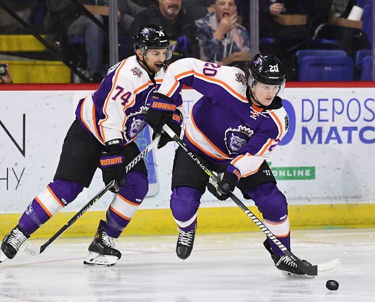 Reading Royals, Reading, PA Professional Hockey