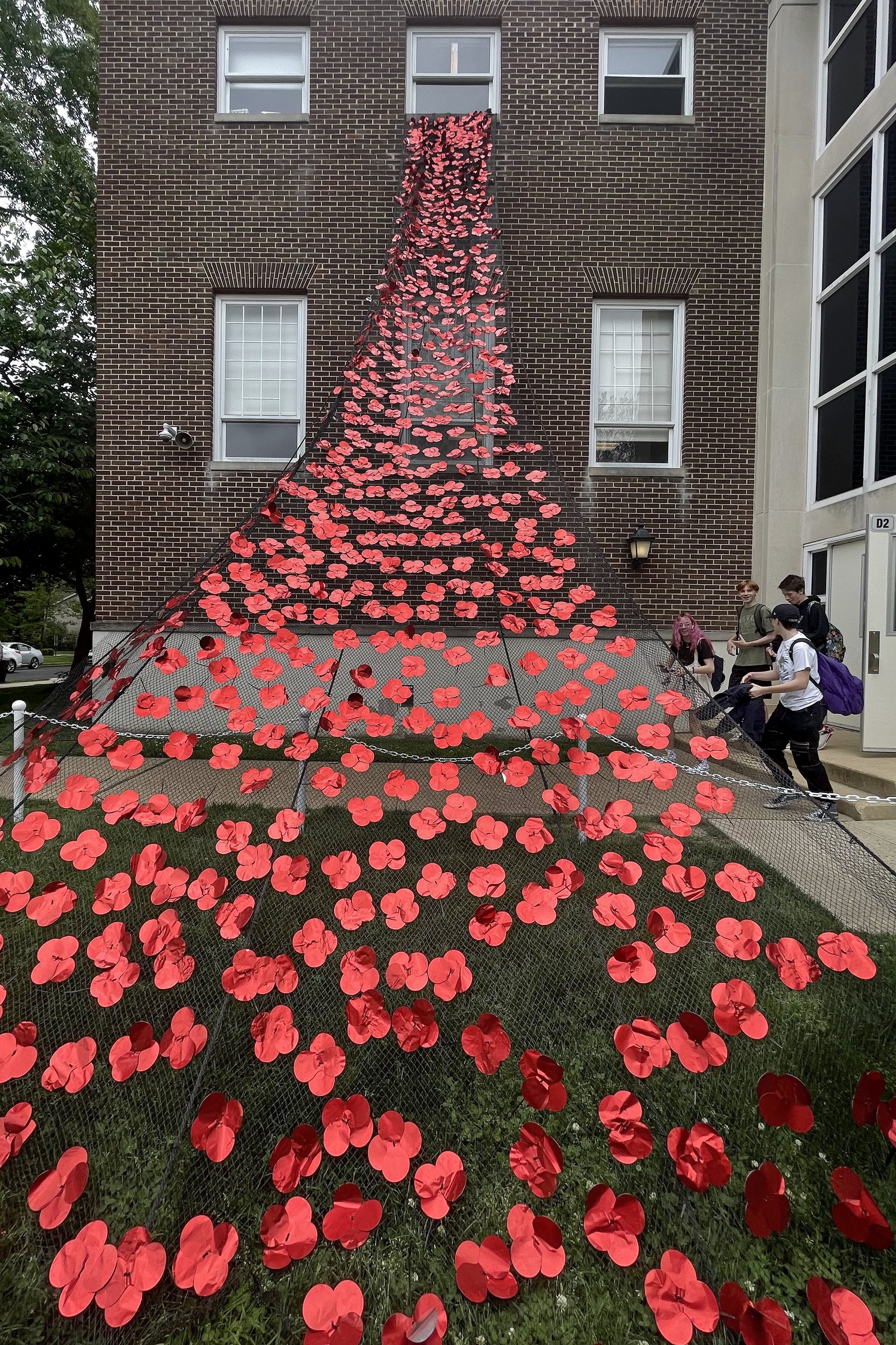 Poppies for Remembrance - The Joseph Group