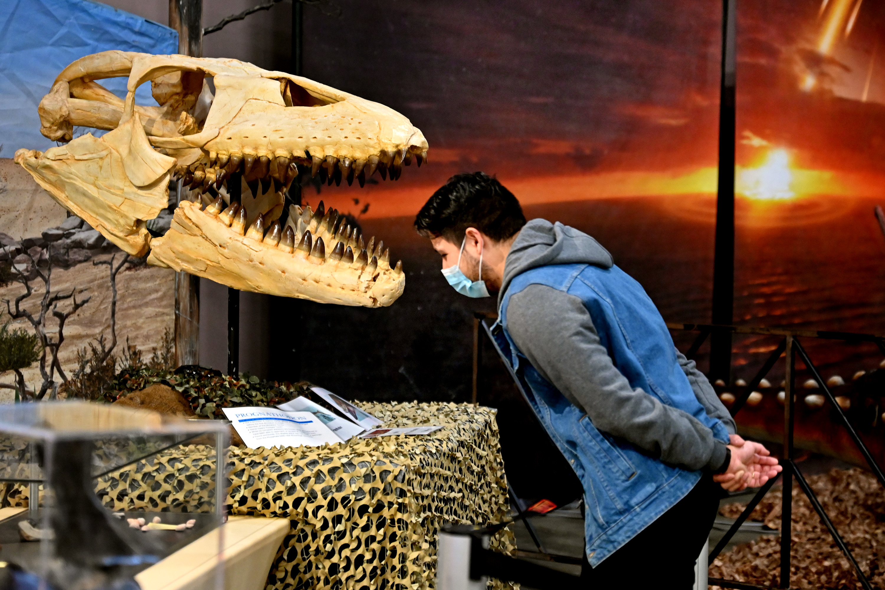 Visitors pictured getting prehistoric with Jurassic Quest dinosaurs