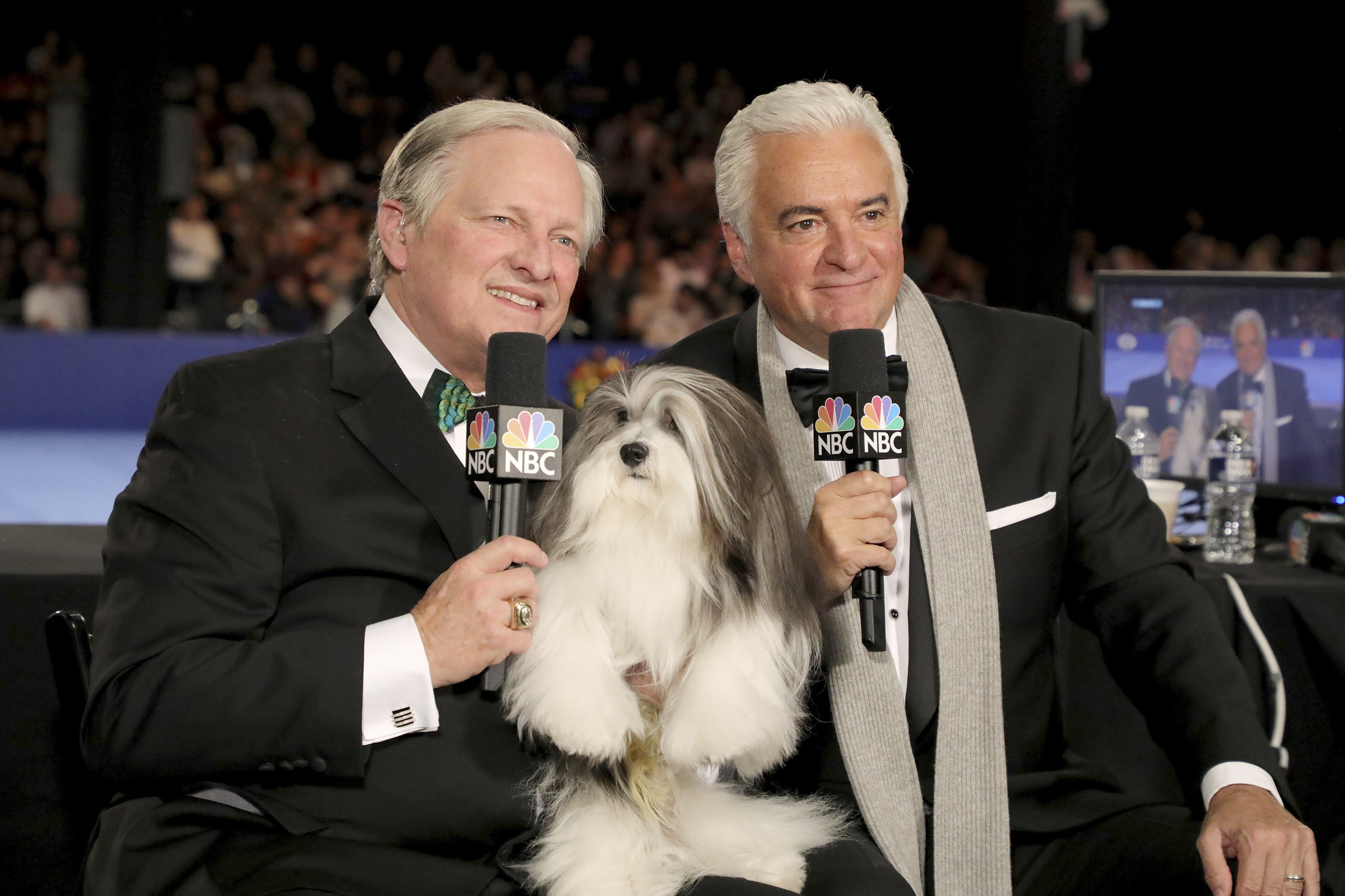 which dog won the national dog show