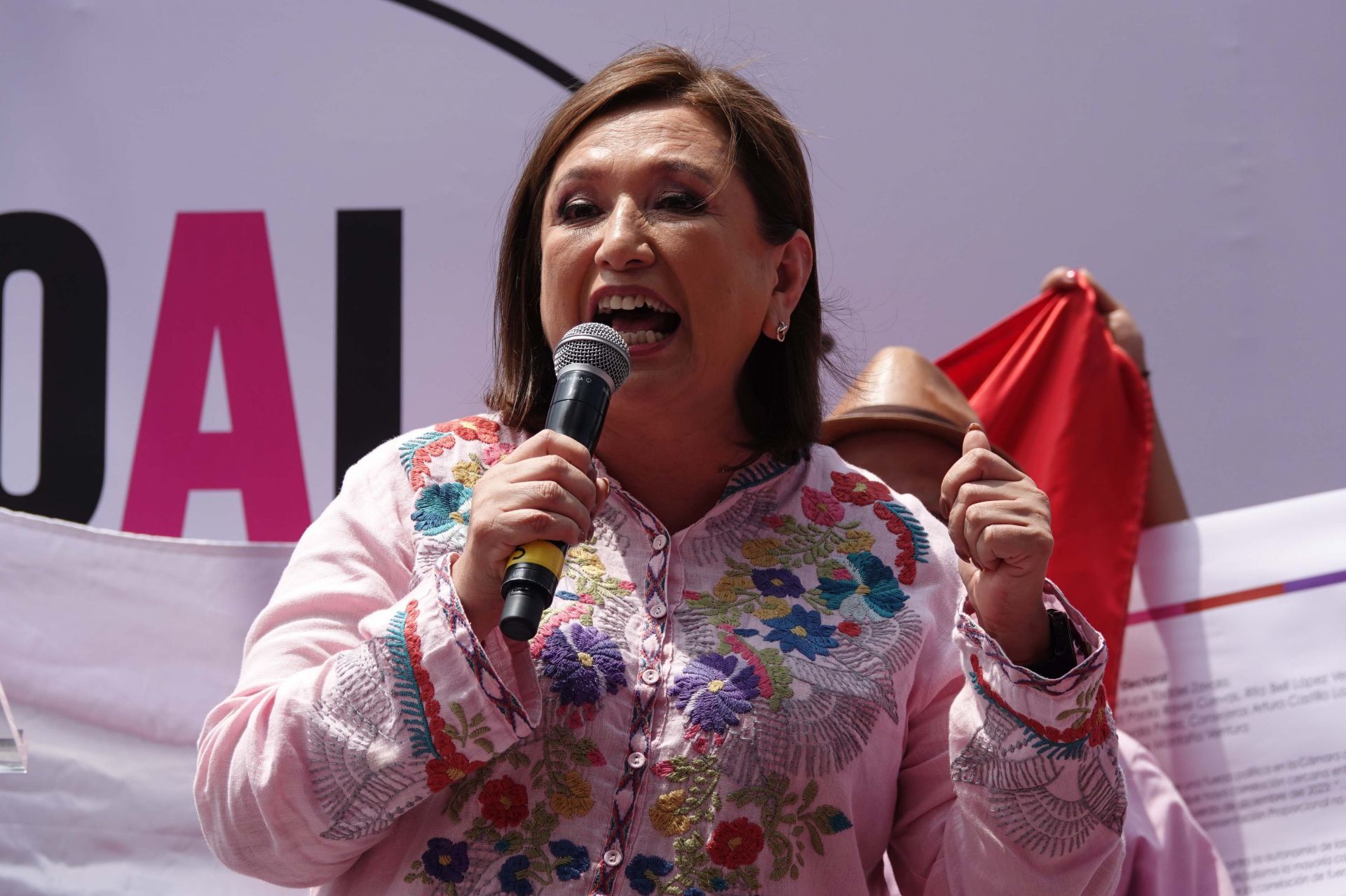 Xóchitl Gálvez podría unirse al Frente Cívico Nacional en su intento por convertirse en un nuevo partido político.