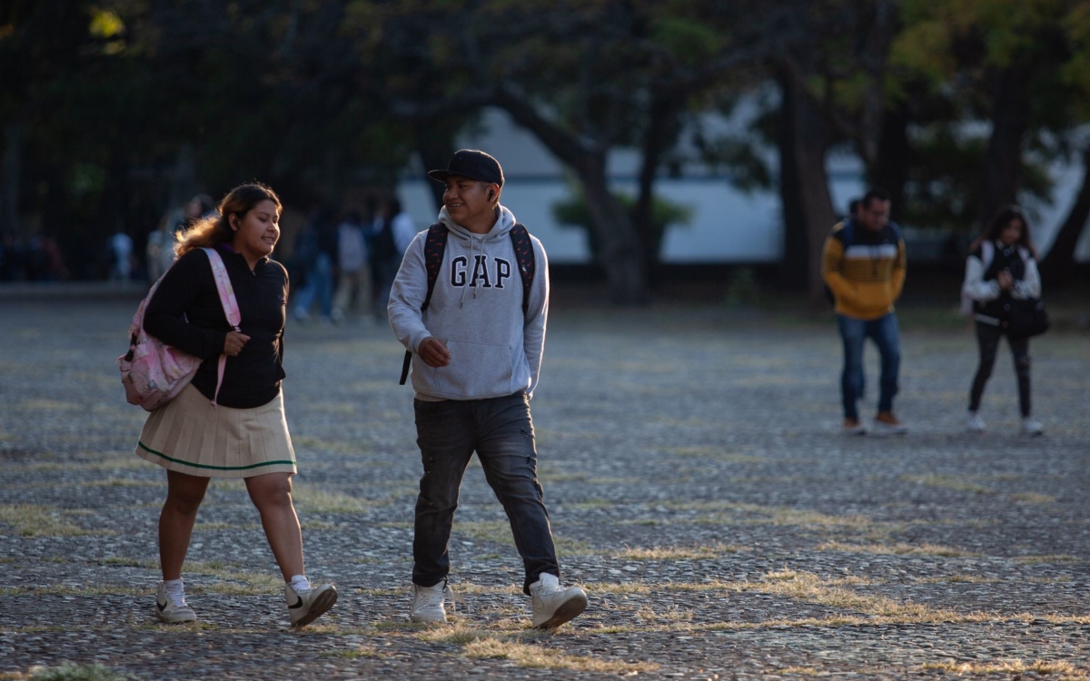 Los apoyos económicos están destinados a estudiantes universitarios de planteles prioritarios