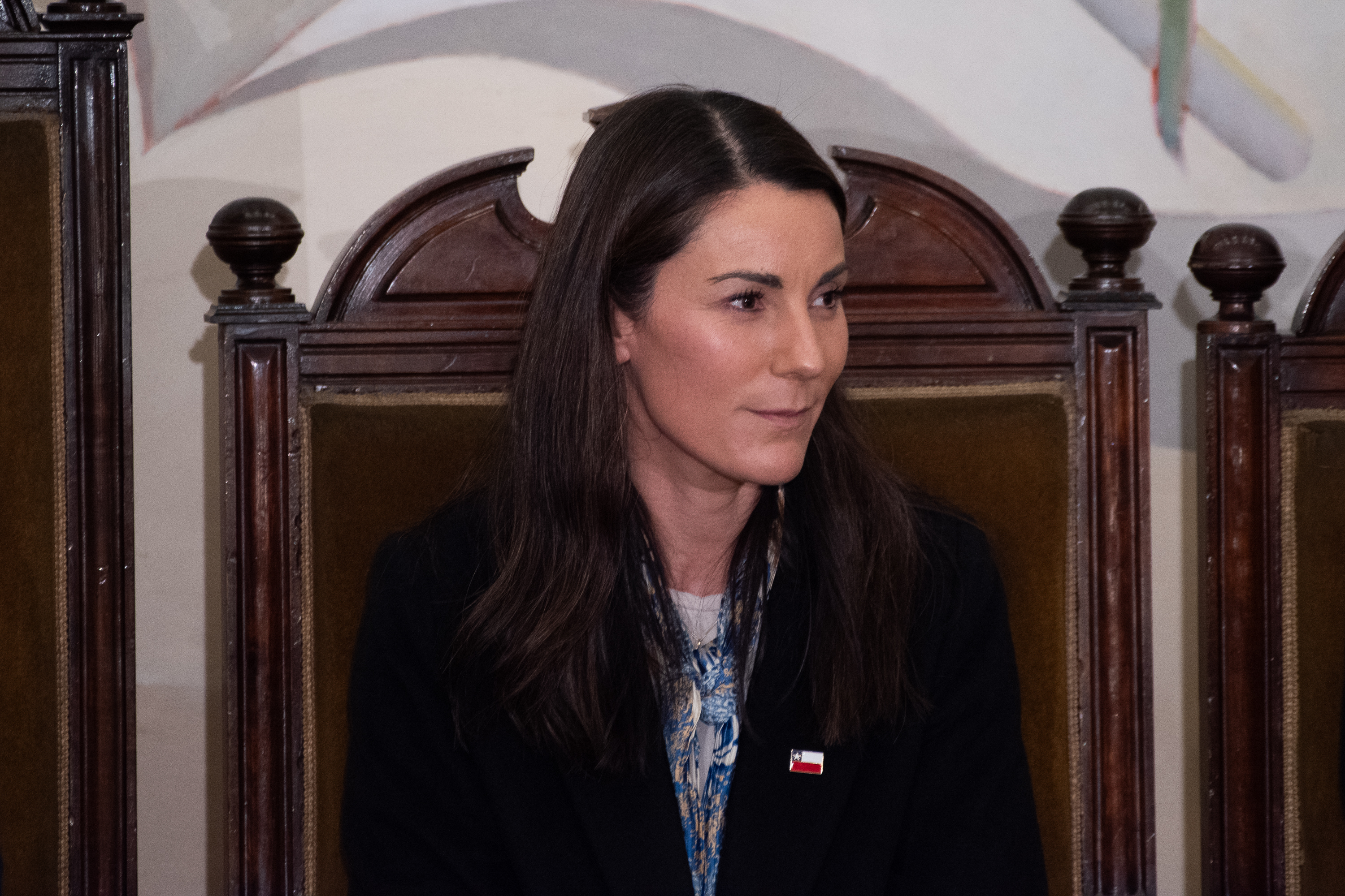 Gobierno defiende “Escuelas Protegidas” tras dictamen del TC y espera fallo completo: “Nuestro objetivo sigue siendo el mismo”