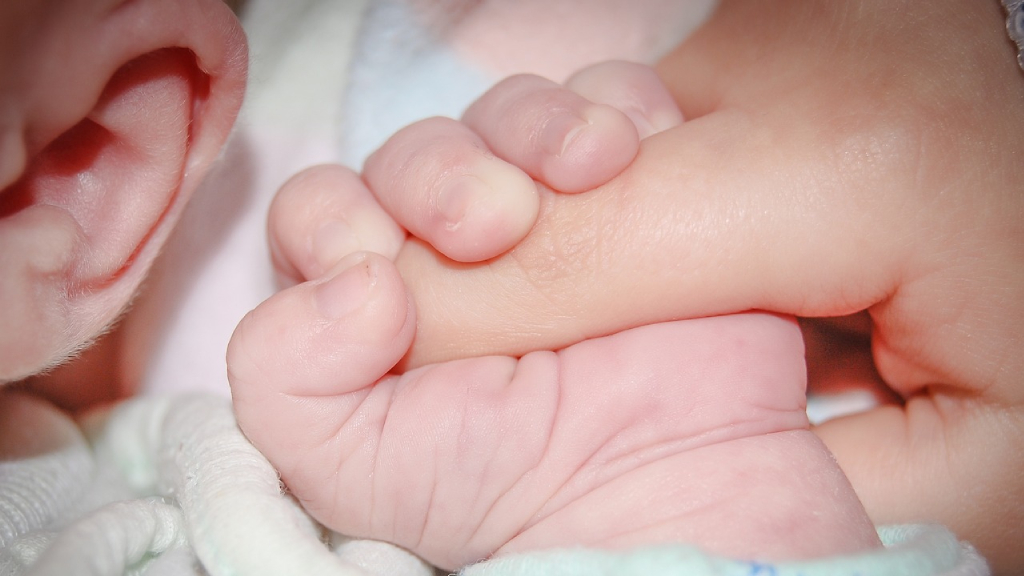 No solo por dinero: estas son las razones por la que los chilenos deciden no tener hijos según encuesta CEP