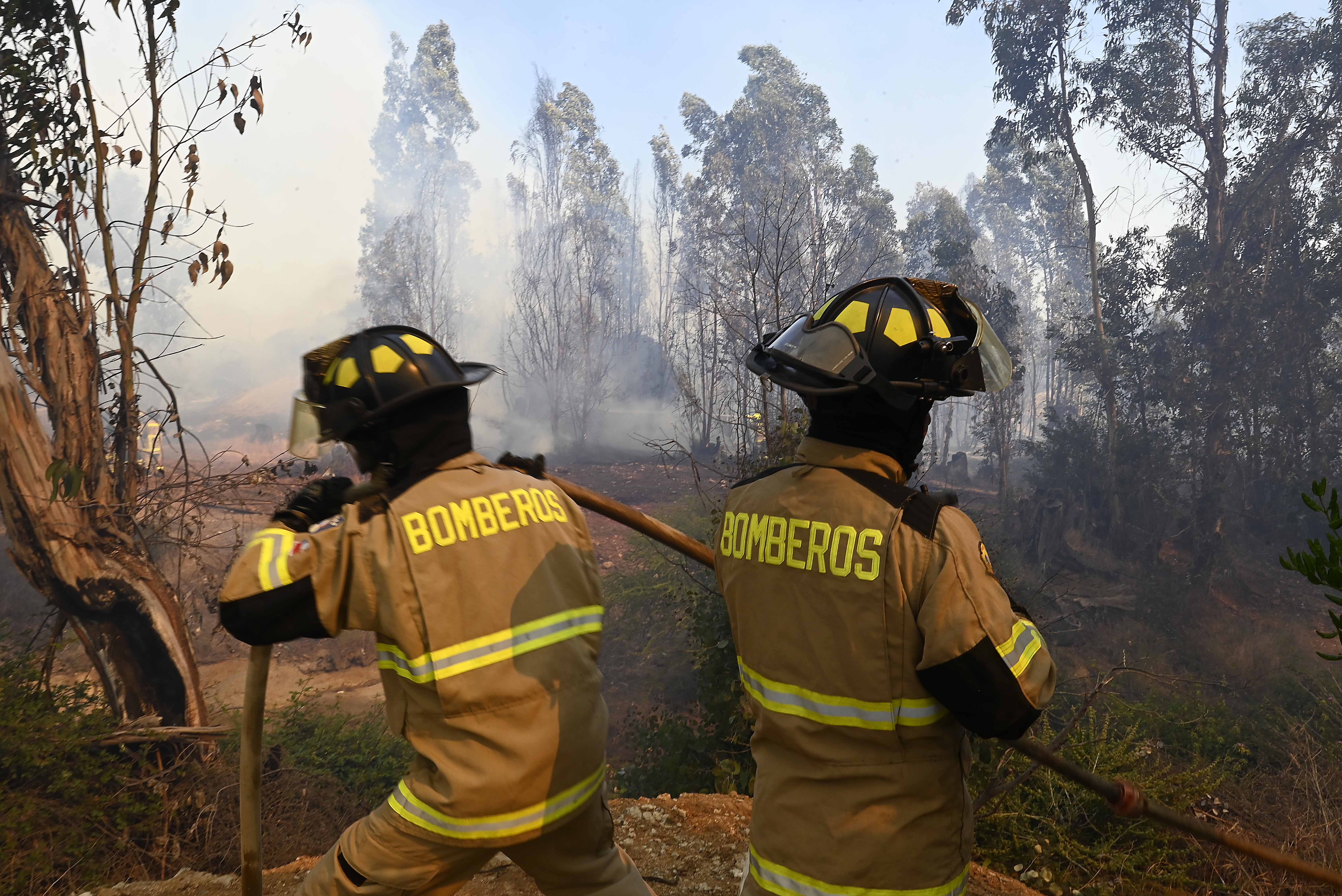 Incendio forestal en Pichilemu: Senapred declara Alerta Amarilla por emergencia que afecta 50 hectáreas