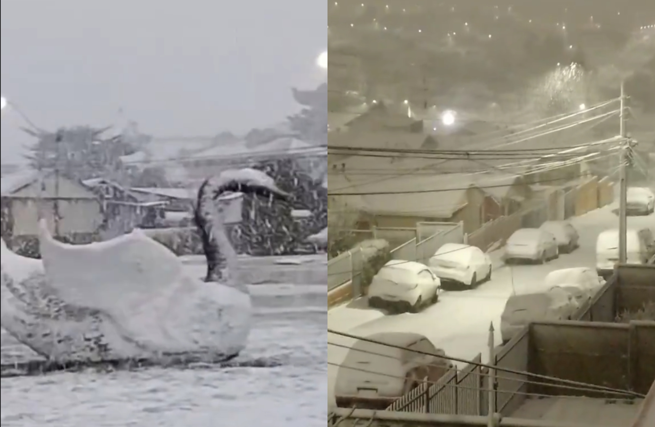 Sistema frontal deja nevadas, marejadas y fuertes vientos en el sur del país: revisa el tiempo para hoy viernes