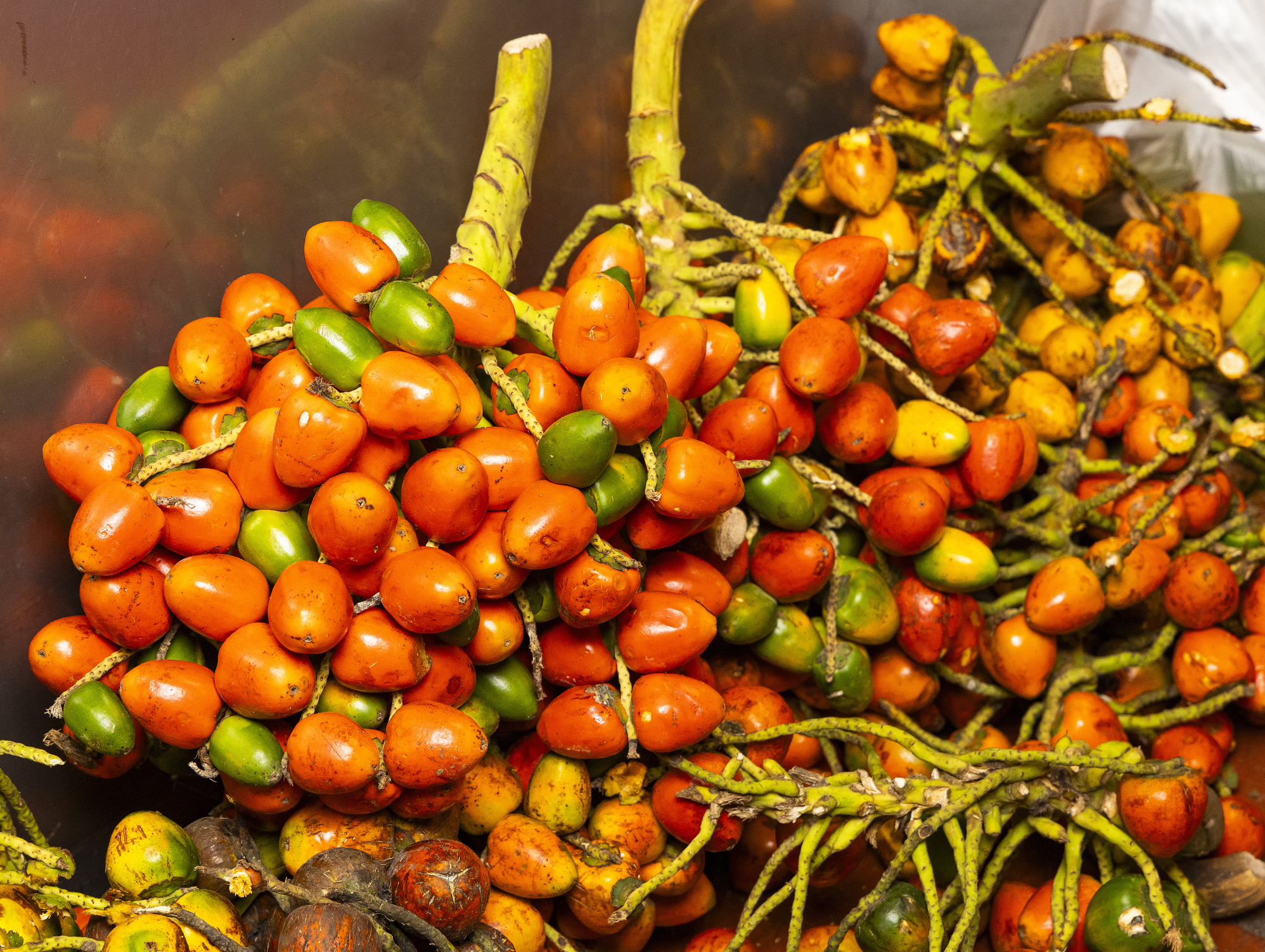 Cinco prácticas ancestrales que ayudan a evitar el desperdicio de comida