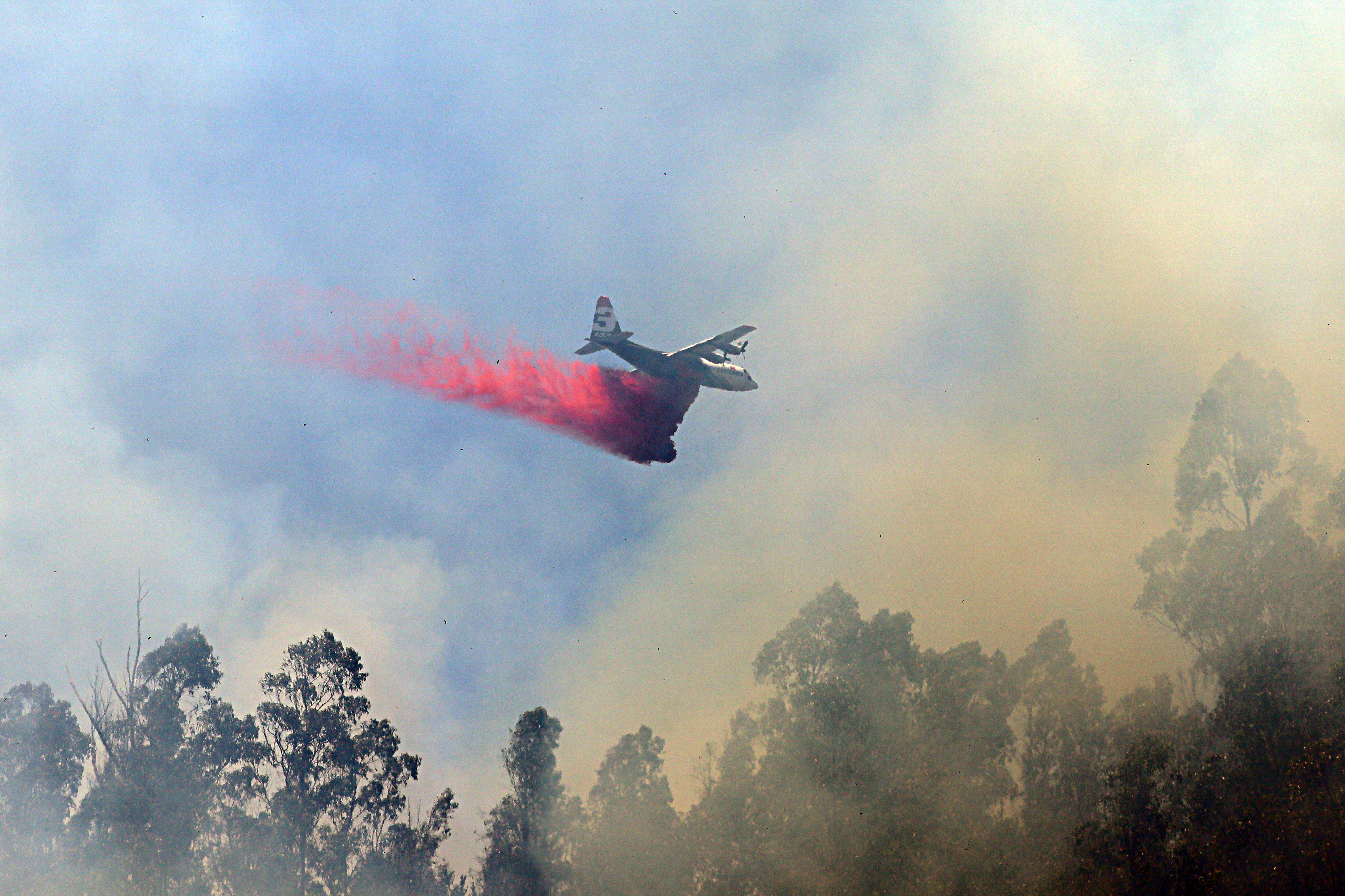 Declaran Alerta Roja en la Provincia de Arica por violento incendio forestal