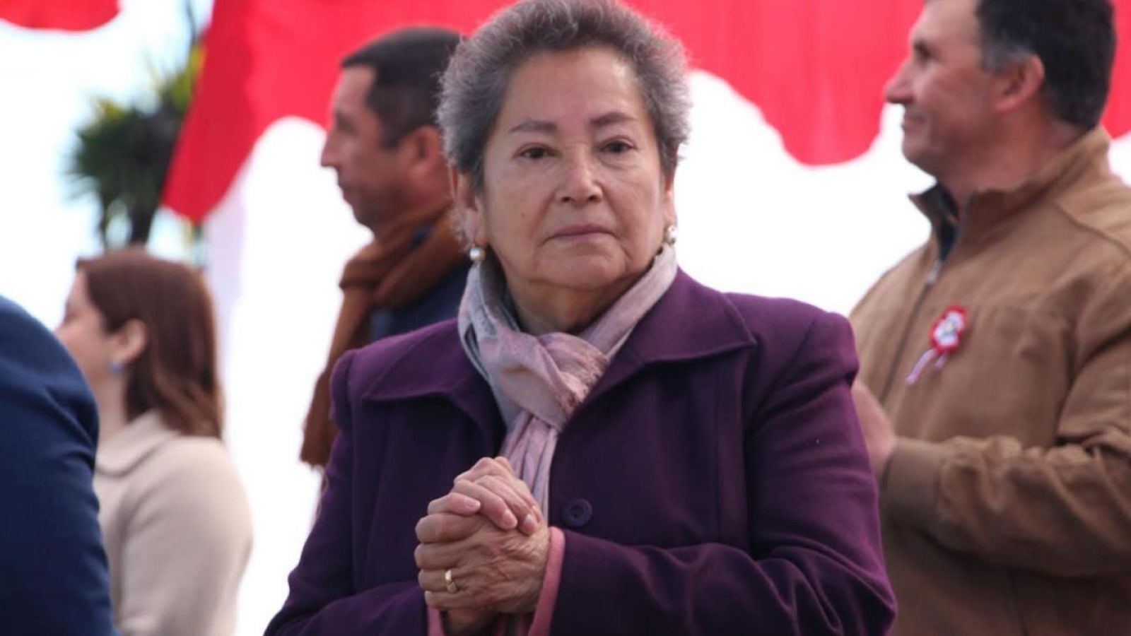 La técnica investigativa que podría ser clave para resolver la desaparición de la concejala en Villa Alegre