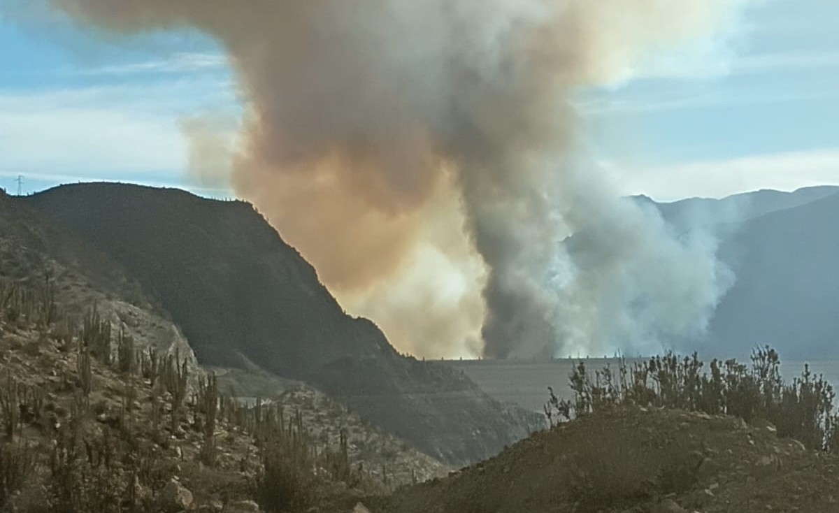 Declaran Alerta Roja en Vicuña por incendio forestal que amenaza a la Central Hidroeléctrica Puclaro