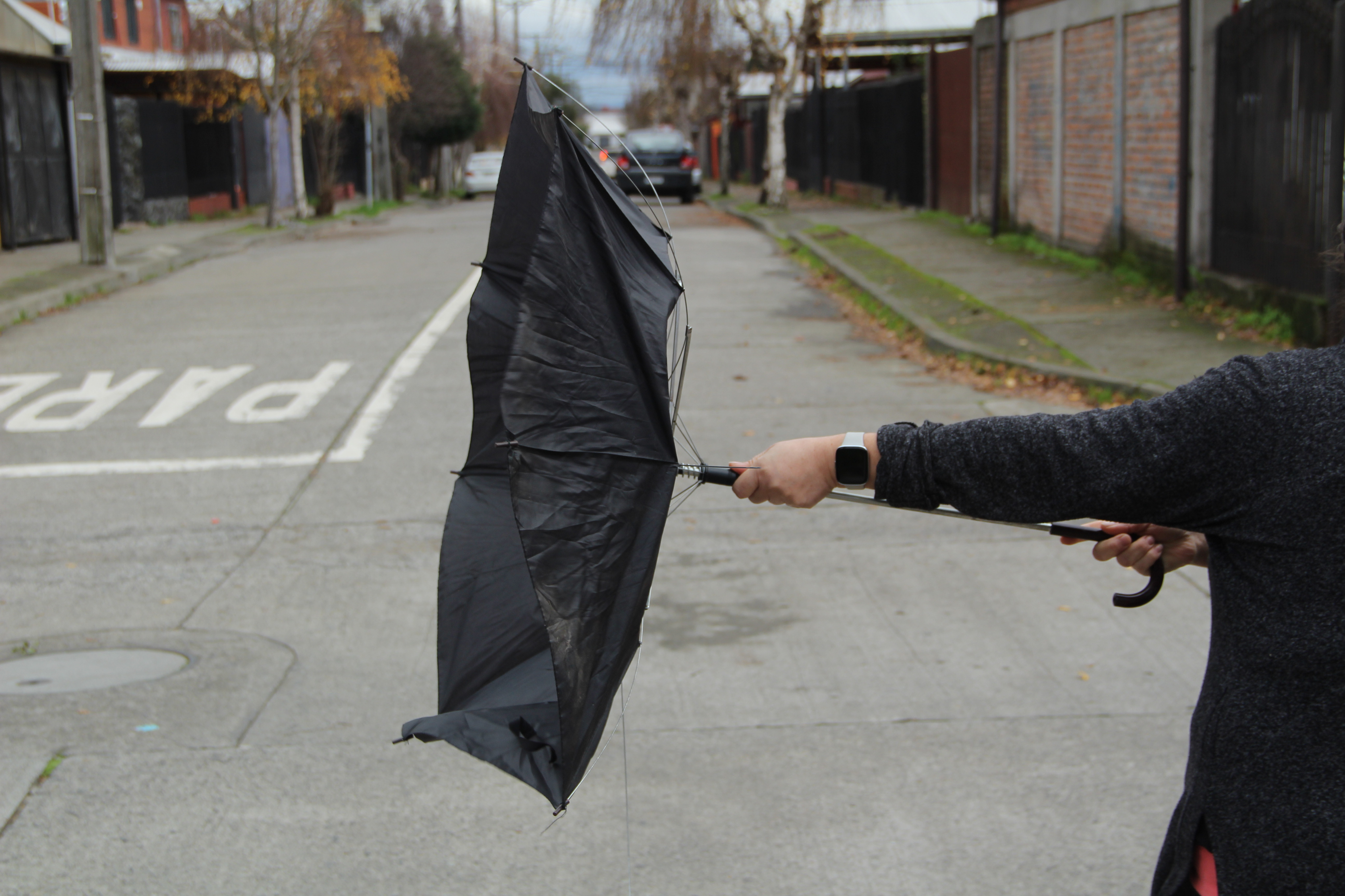 Vientos de hasta 80 km/h en Chile: Meteorología emite aviso para estas dos regiones del país