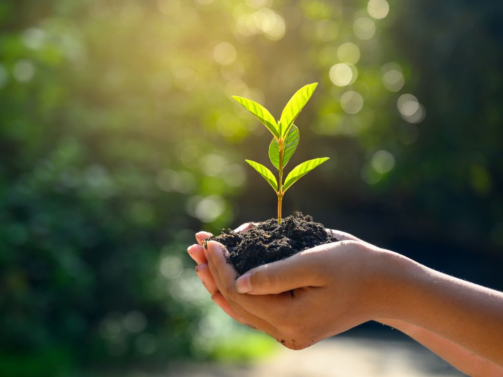 Día del Medio Ambiente: el preocupante dato que muestra menor compromiso climático en Chile