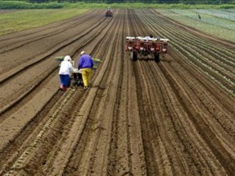 Modelo de desarrollo agrario en Colombia debe ser incluyente: SAC