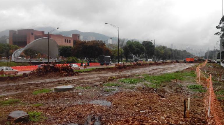 Tala de árboles para obras públicas agrava contaminación del aire en  Medellín