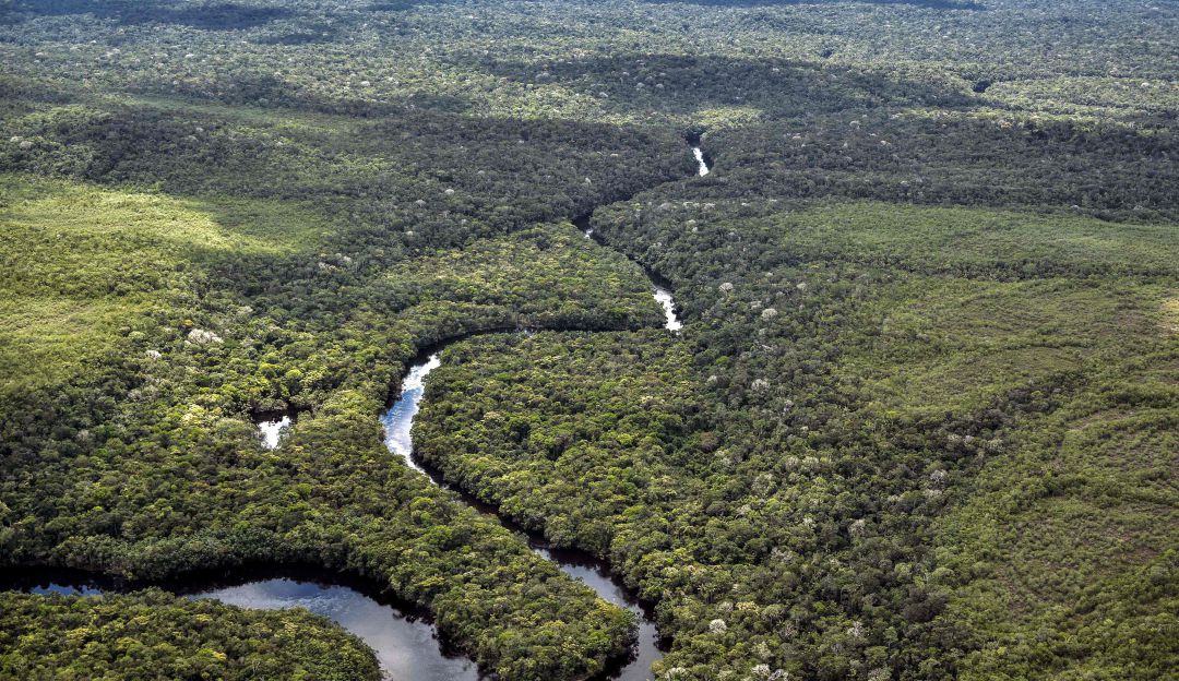 Amazonas en Colombia Así está el Amazonas de Colombia : Así está el Amazonas de Colombia