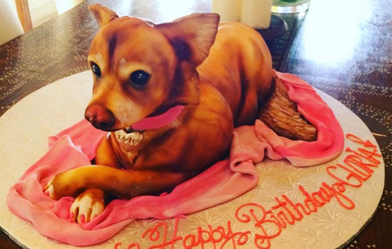 Gloria Estefan celebró su 58 cumpleaños 'comiéndose' a su perro
