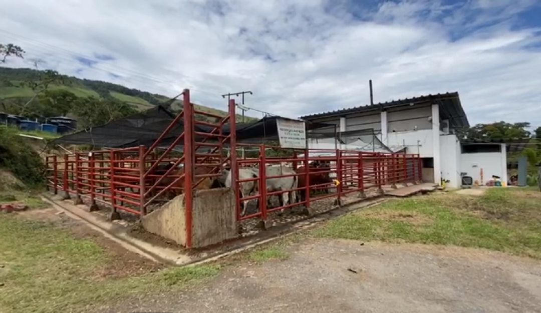 Alcalde de Oiba dice que no será cerrado el matadero municipal Planta de  sacrificio de reses de Oiba no será cerrada : Planta de sacrificio de reses  de Oiba no será cerrada