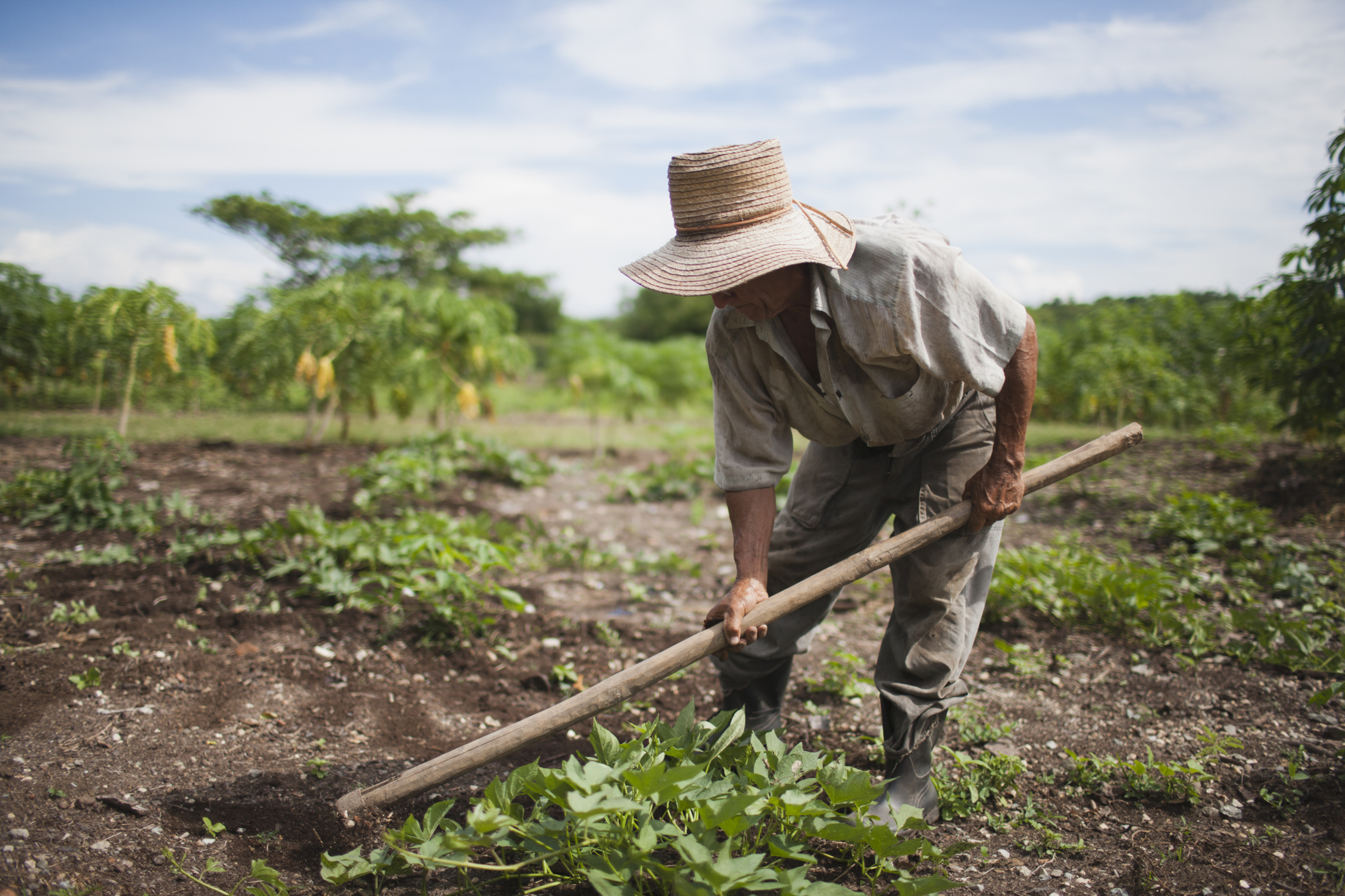 ¿En qué consiste la idea de regularizar la extranjerización de la tierra en Colombia?