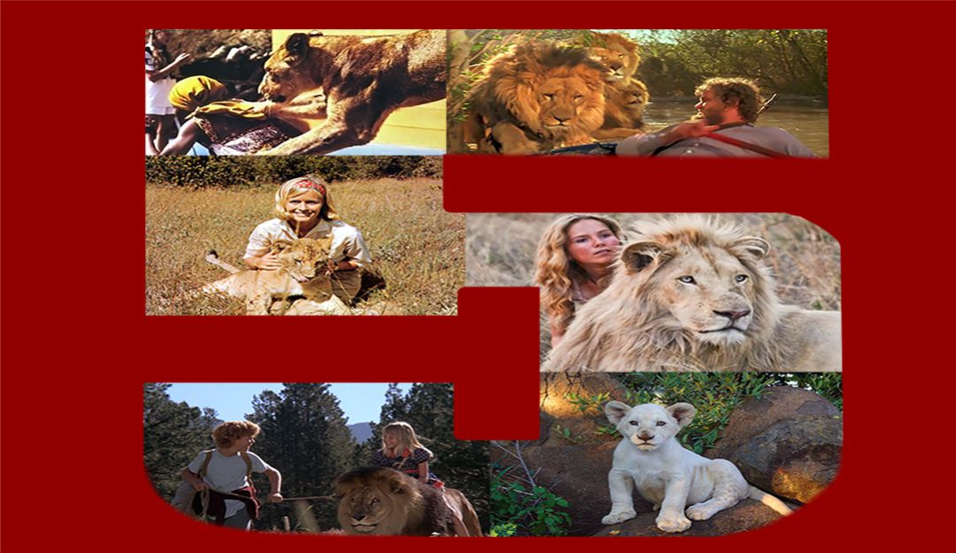 Top 80+ imagen peliculas de leones salvajes