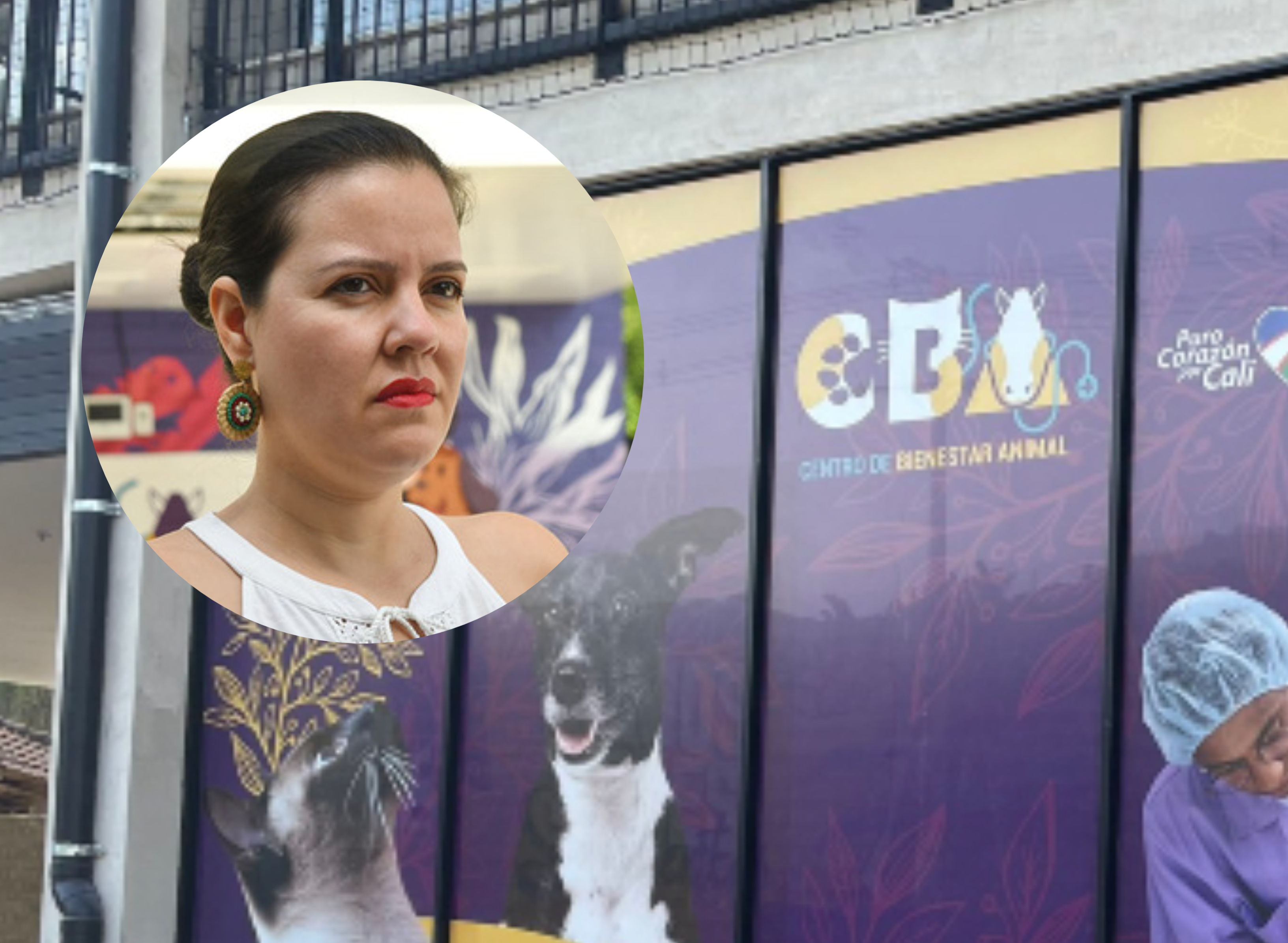 “Es un malentendido”: directora de Bienestar Animal de Cali responde por polémico audio