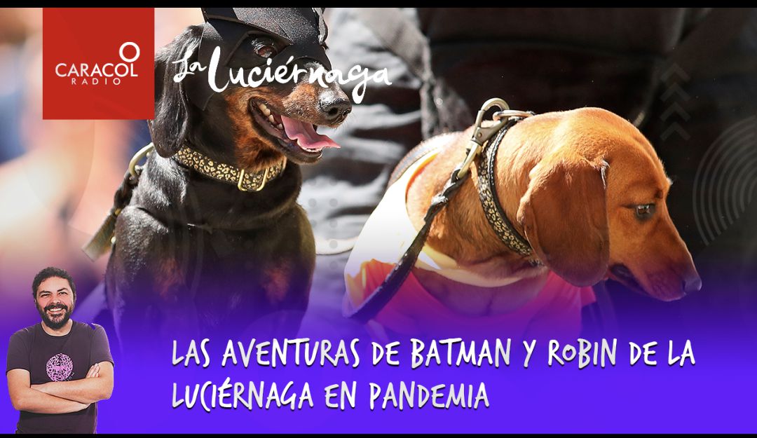 La Luciérnaga Las aventuras de Batman y Robin de La Luciérnaga en pandemia  : Las aventuras de Batman y Robin de La Luciérnaga en pandemia