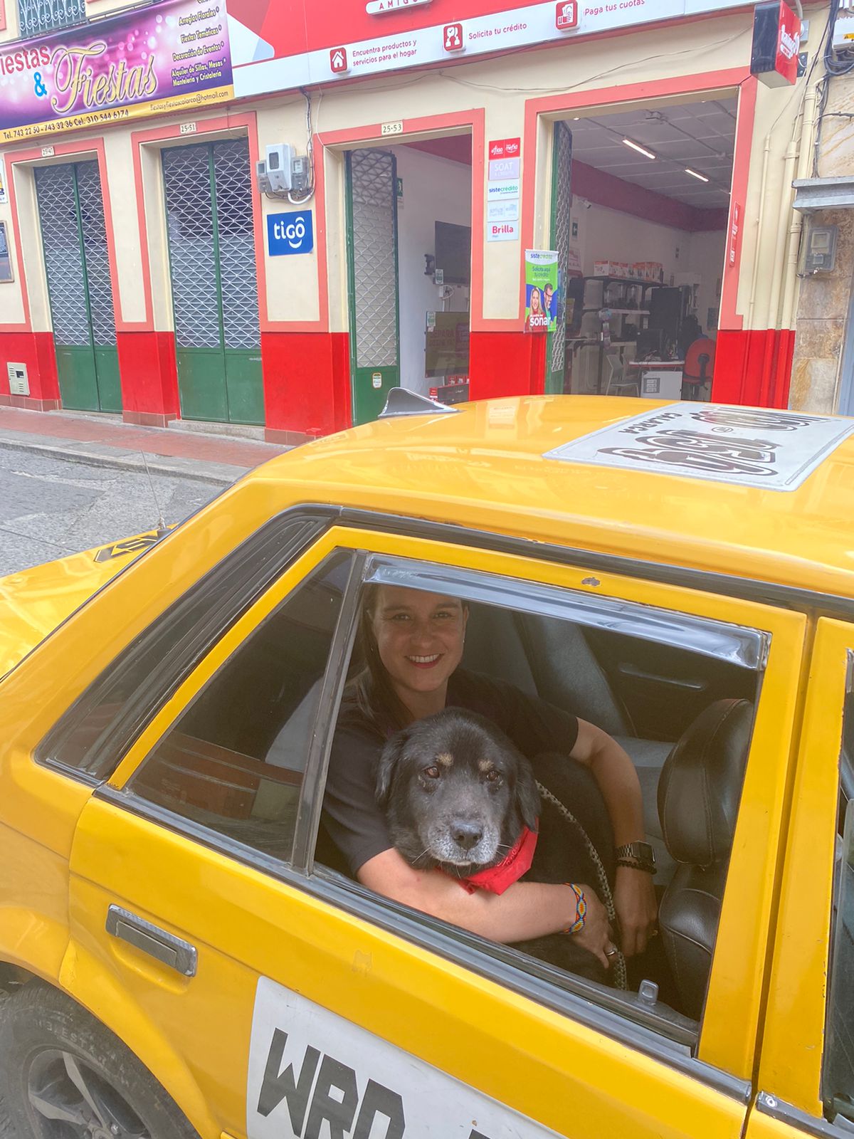 se permiten perros en los taxis negros