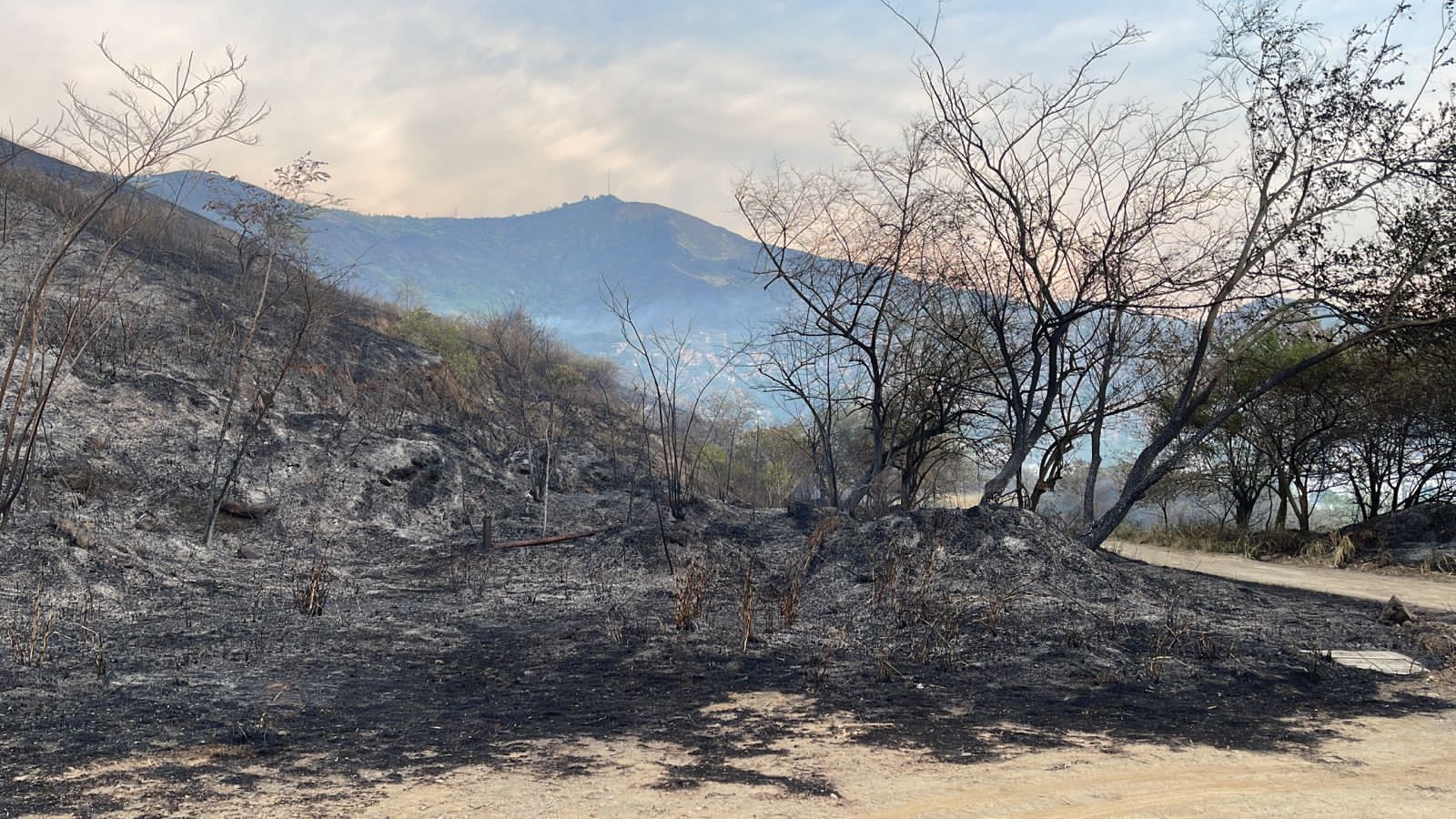 Controlan incendio forestal en Cali después de 17 horas