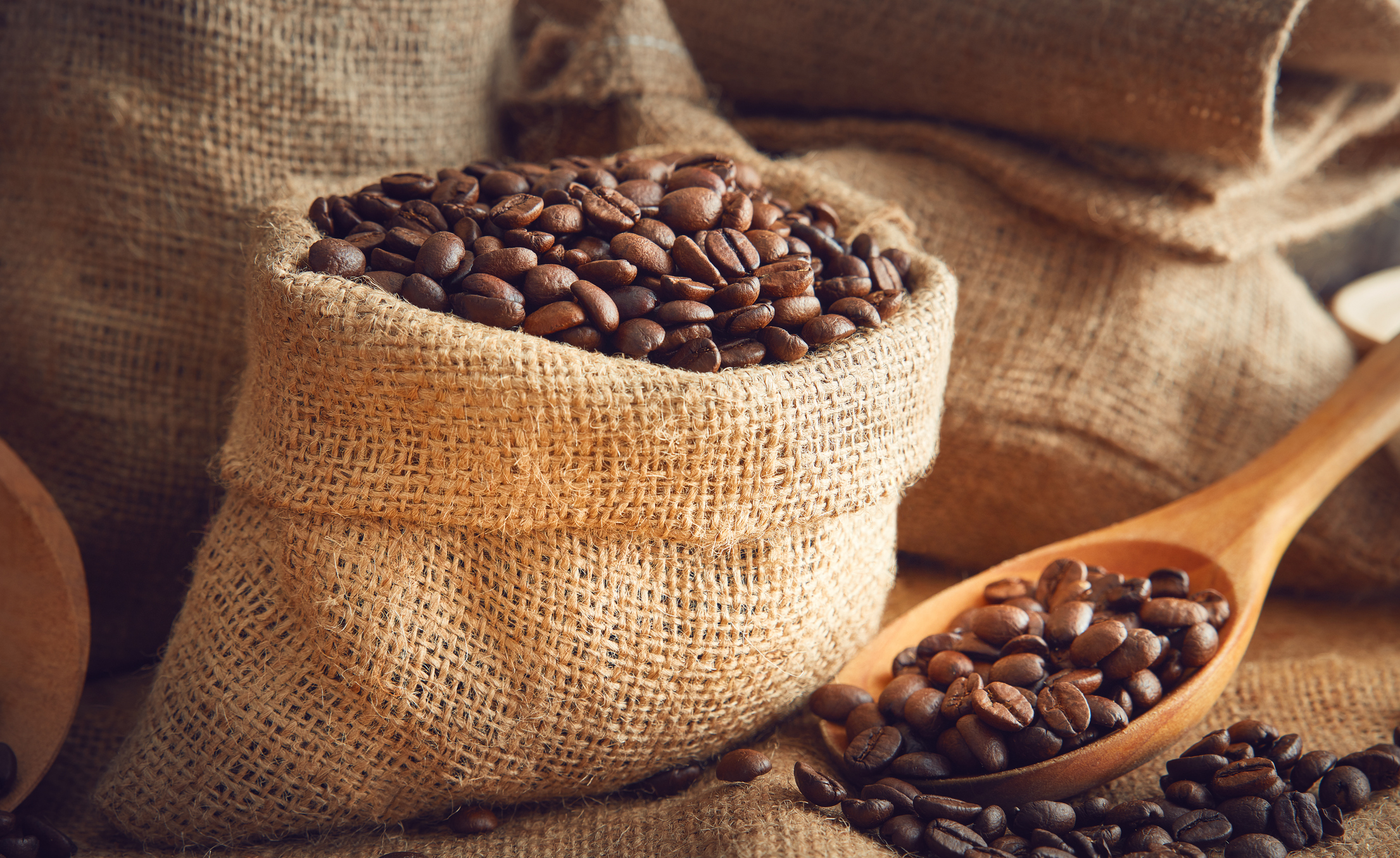 Cafeteros piden eficiencia, no reestructuración: FNC tras remezón en Almacafé