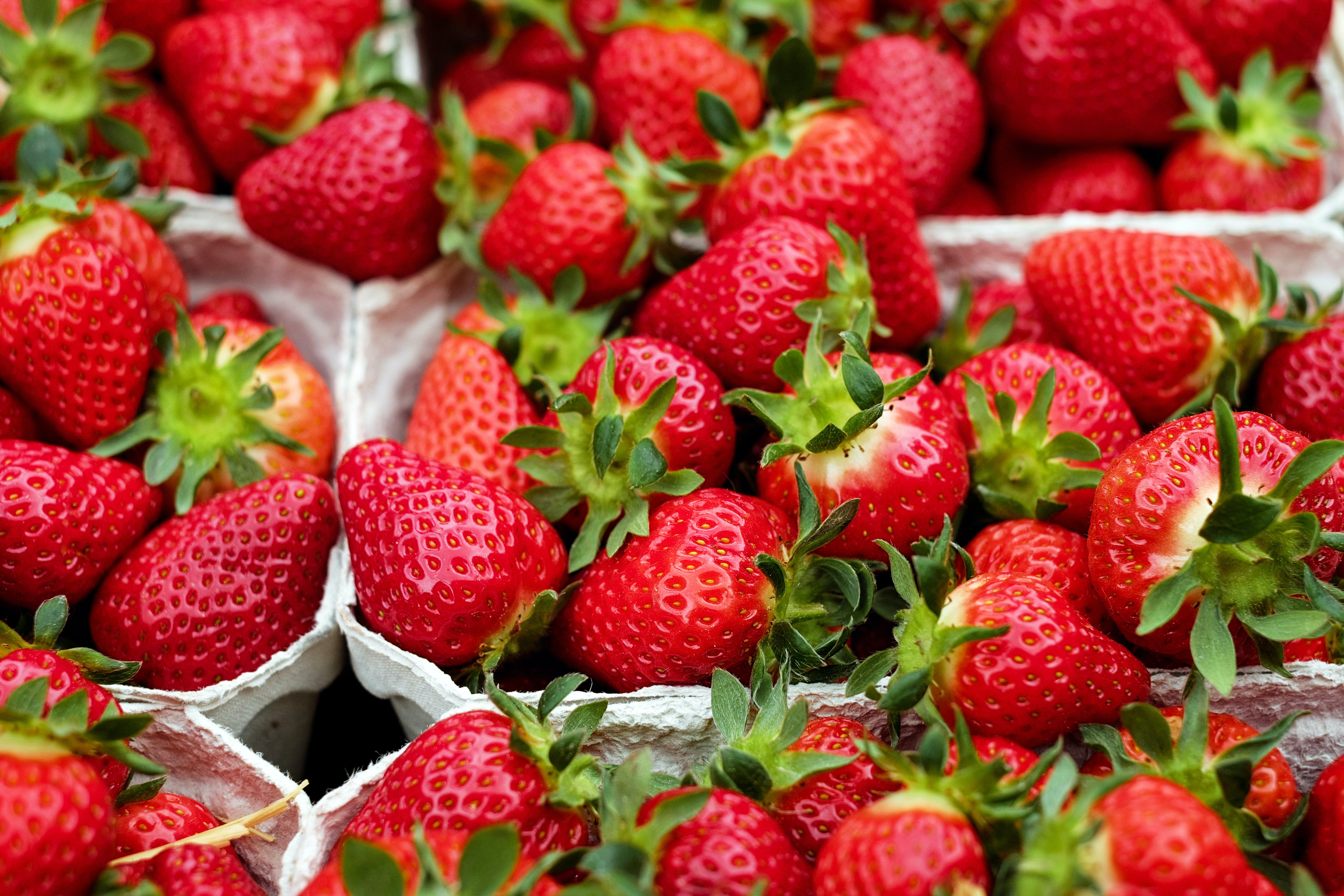 CONSERVAR LAS FRESAS FRESCAS mas tiempo.. Keep strawberries fresh. 