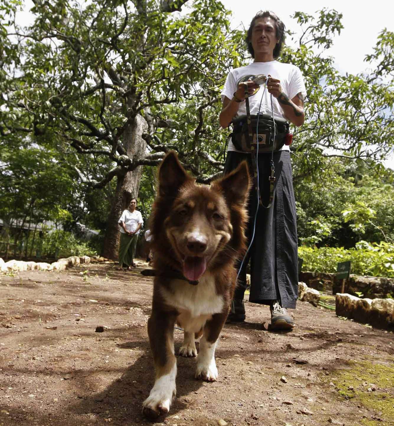 Kim Aris walks Taichito, Aung San Suu Kyi’s dog, in Myanmar’s Mount Popa Botanical Garden and Museum in Kyaukpadung township, near Bagan, July 6, 2011.