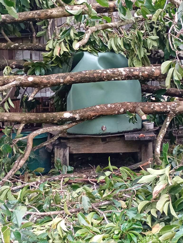 In this file photo, trees that were knocked down by Cyclone Maila have damaged a water tank on Samarai Island, Milne Bay province, Papua New Guinea.