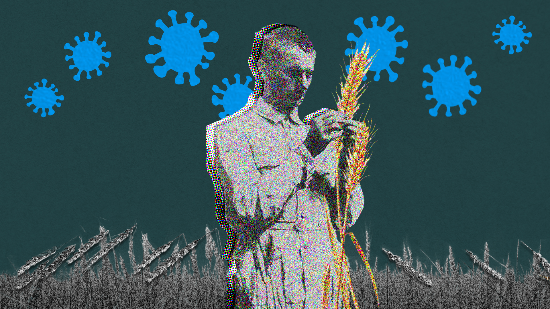 瘟疫，政治，与李森科主义的复活– Wainao