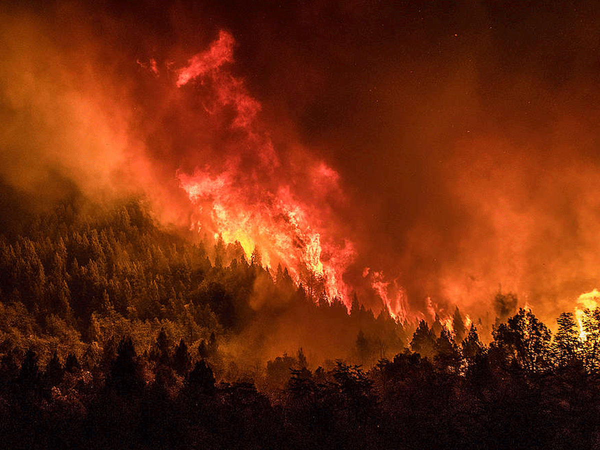 El desesperado pedido de una vecina de la Patagonia a los turistas por los incendios forestales: “Nos están arruinando”