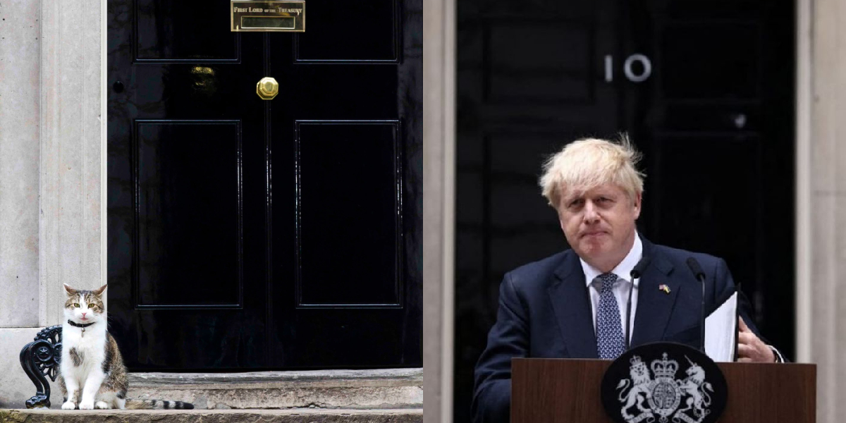 El gato de Reino Unido que tiene un cargo público pidió que se vaya Boris Johnson: “No puedo más”