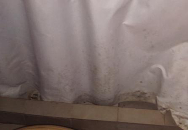 Cómo limpiar las manchas de moho de las cortinas del baño