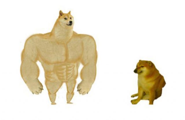 Cuál es el origen del meme del perro grande y el perro chico
