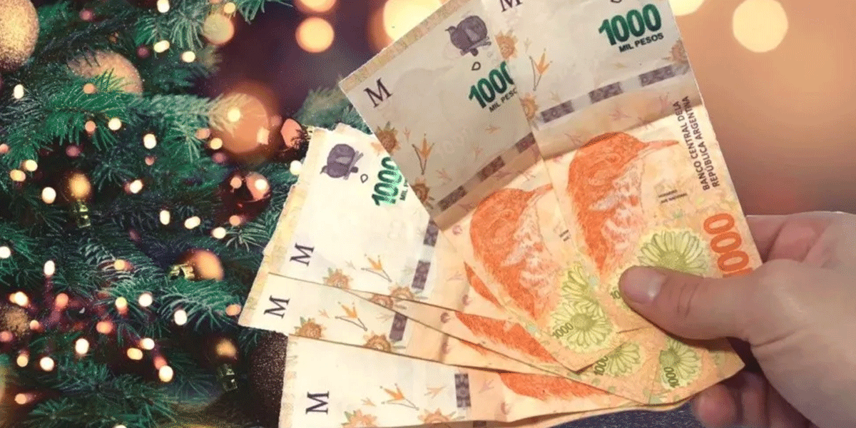 ANSES anunció un bono navideño de $10.000: a quiénes alcanza y cuándo se podrá cobrar