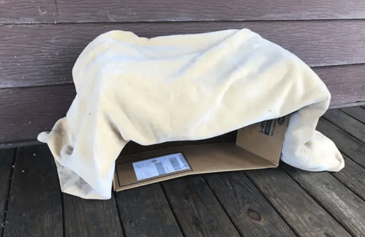 El bebé apareció dentro de una caja de cartón en la puerta de una casa