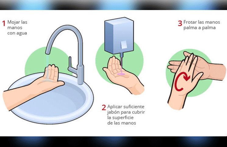 Coronavirus la cantidad de bacterias que tiene tu mano según cómo te lavás