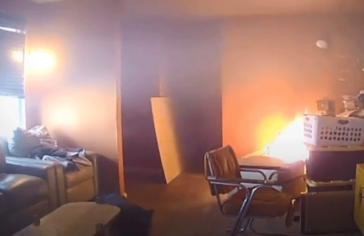 Video La reacción de un perro al provocar un terrible incendio en su casa se quedó mirándolo como una estatua