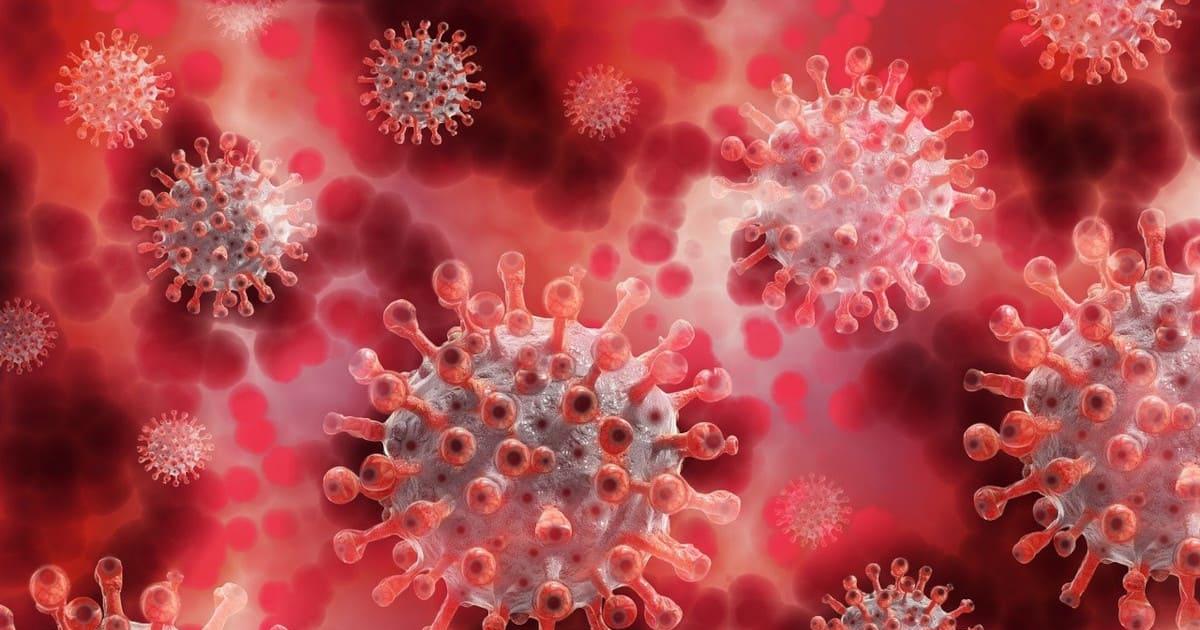 De qué se trata la variante Centauro del coronavirus y cuáles son sus síntomas 