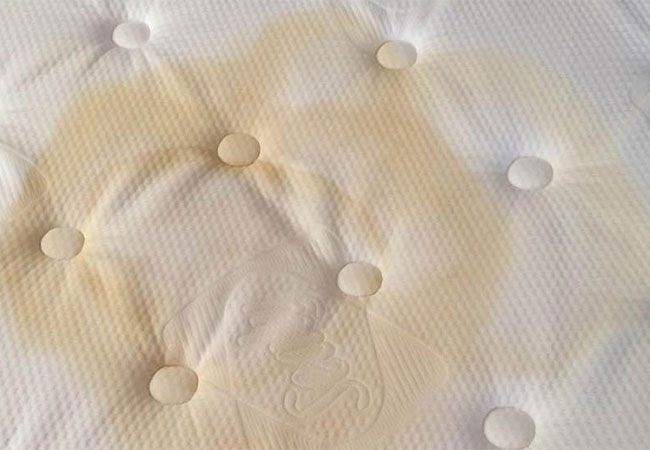 Fonética Creo que Calígrafo Cómo limpiar el colchón (sin humedecerlo): chau manchas, olores y ácaros |  Mia FM