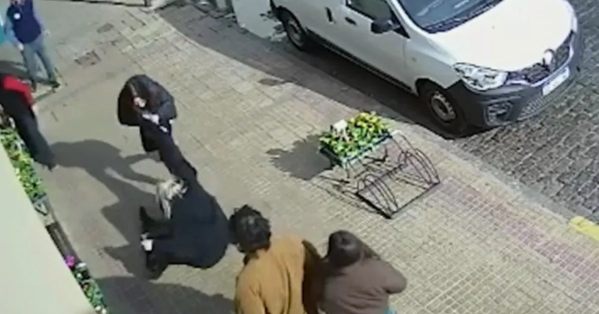 🔴 Video: se bajó del auto y golpeó a una mujer que cruzó mal la calle
