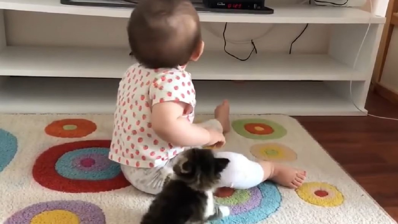 Video: entró al cuarto de su bebé y descubrió una dulce escena entre su hijo y su gatito